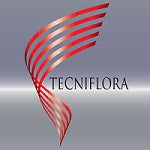 Mylos Ribbons – Page 2 – tecniflora
